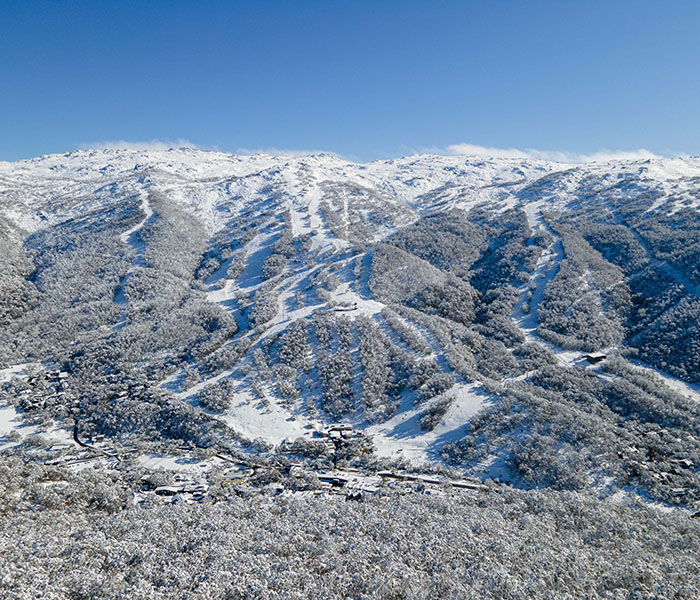 Picture of thredbo mountain